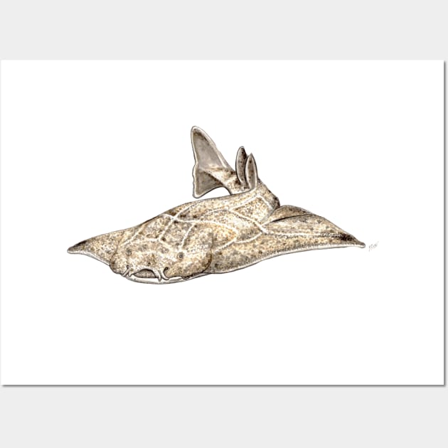 Angel shark Wall Art by chloeyzoard